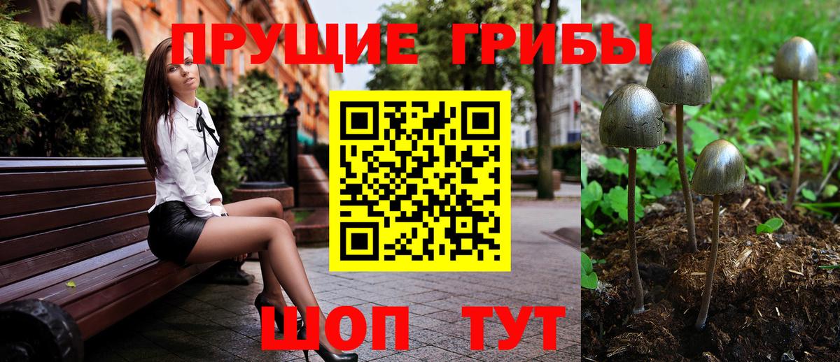 Вязники  Галлюциногенные грибы мицелий  Вход с VPN 